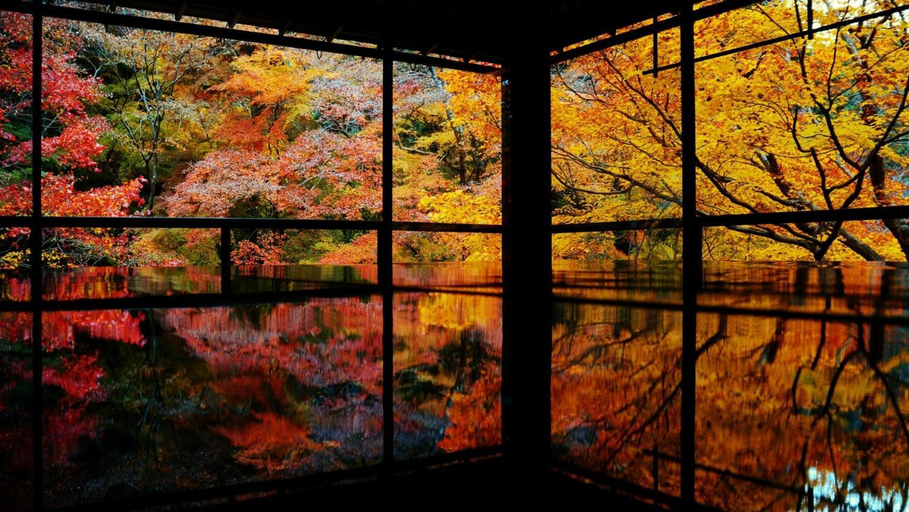 Others 5, Kyoto-Toji house, Kyoto