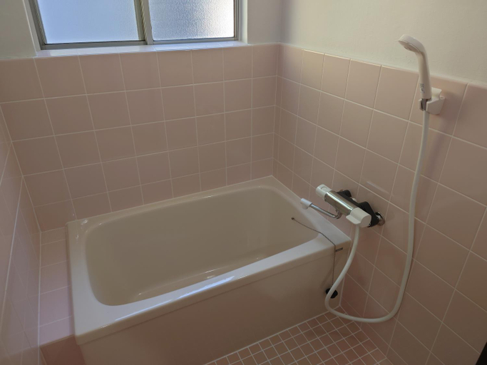 Bathroom 2, Albany inn Shirahama アルバニーイン白浜, Shirahama