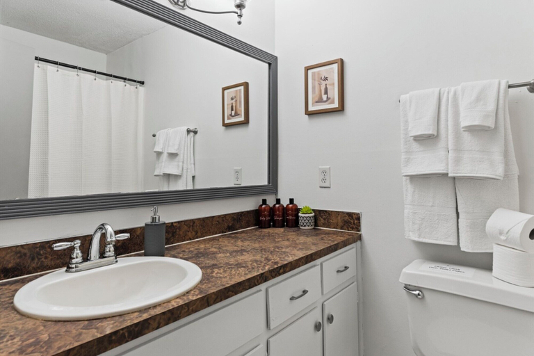Bathroom 3, Midtown Fenced Yard  White Acres Retreat, Montgomery