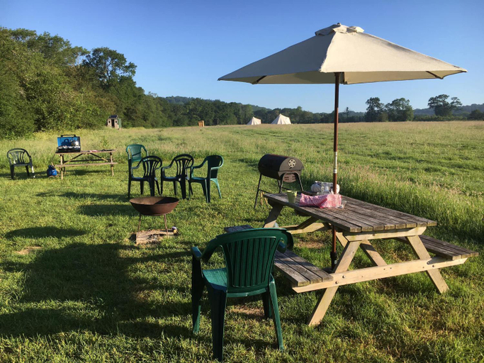 View, Willow Yurt, West Sussex