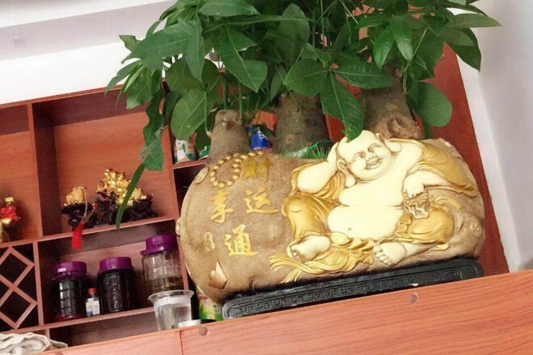 Food & Drinks 4, Jianshi Hongshan Villa, Enshi Tujia and Miao