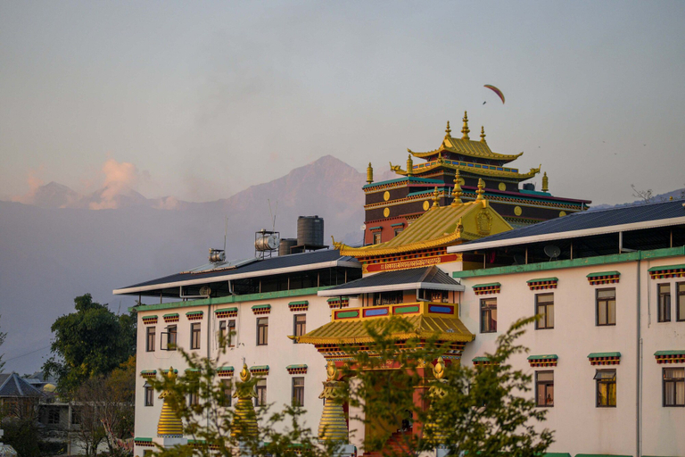 Exterior & Views 2, Chokling ArtHouse-The Treasure of Himalayas, Kangra