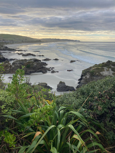 Others 5, Brighton Beach, Dunedin