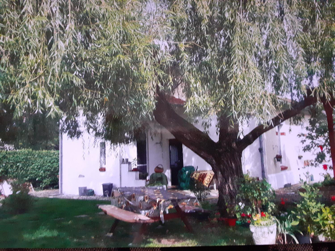 Others 5, Peti kaz, Gironde