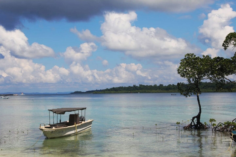 Others 5, Ocean Pearl Beach Resort, South Andaman