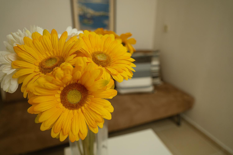 Others 3, Villa Destiny, Central Macedonia