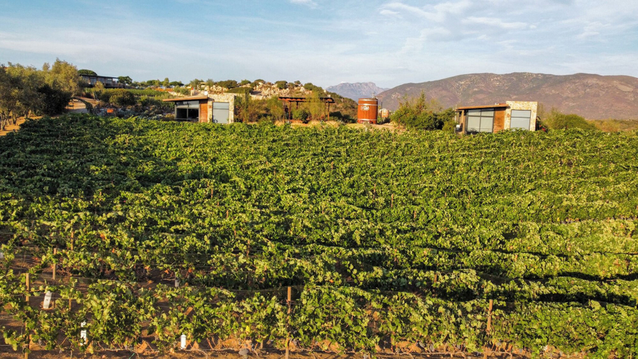 Exterior & Views 2, Brisa Del Valle Hotel Boutique, Ensenada