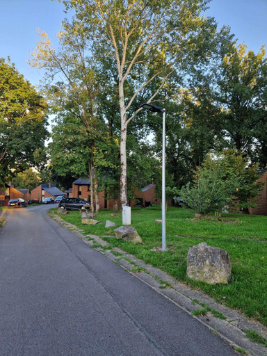 5, Bulle ivoire, Namur