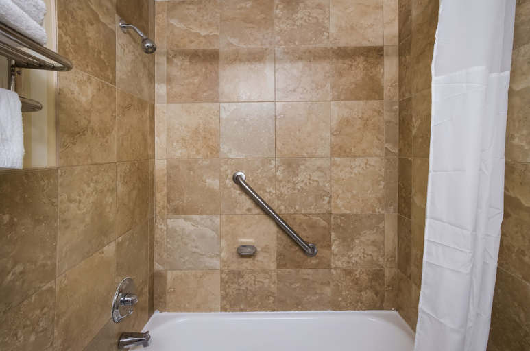 Bathroom 4, Econo Lodge Allentown North, Lehigh