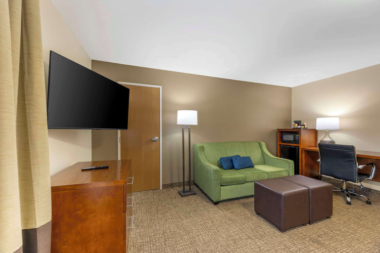 Others 5, Comfort Inn South - Springfield, Greene