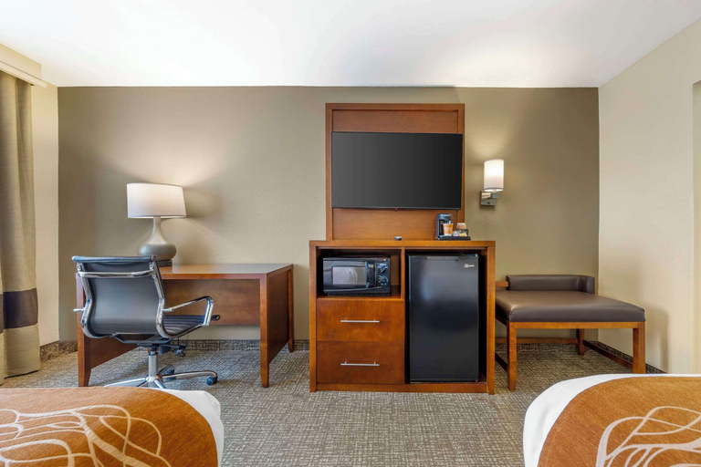 Others 5, Comfort Inn South - Springfield, Greene
