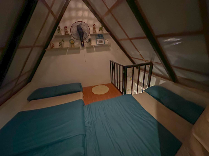 Others 2, Remy's Nest, Amadeo