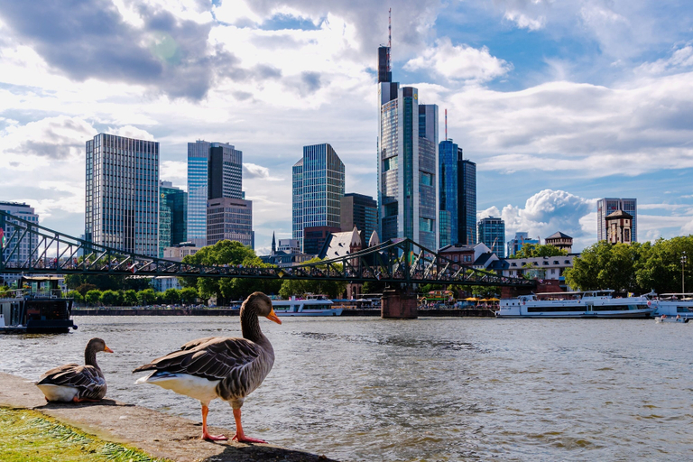 Exterior & Views 2, Maingau Hotel, Frankfurt am Main