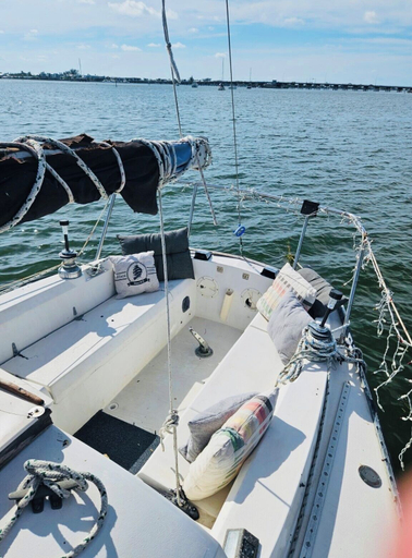 Others 4, SailorAntics, Manatee