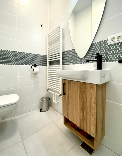 Bathroom 2, Green House Studios, Brasov