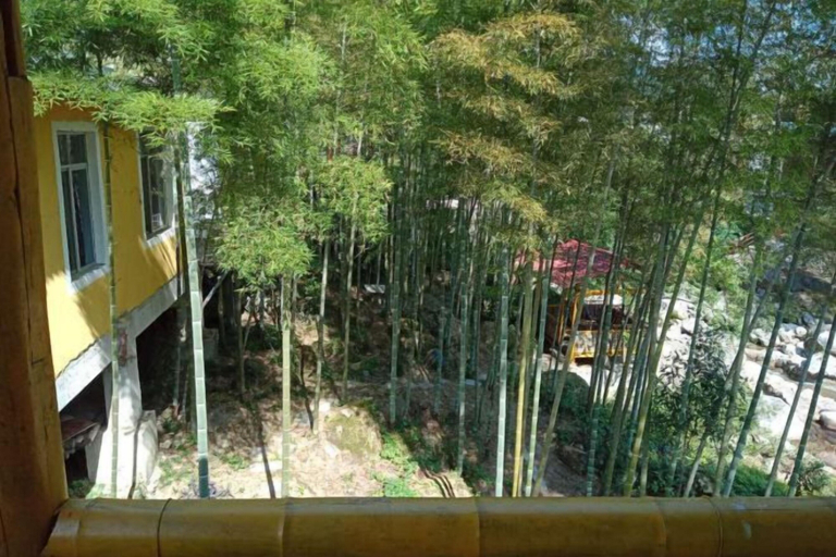 Others 5, Xing'an Mao'er Mountain Bamboo Xiyuan, Guilin