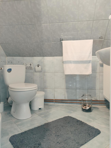 Bathroom 3, Rita Vendeghaz, Ciumani