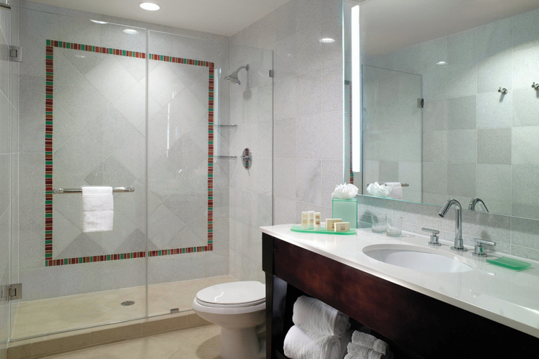 Bathroom 4, Courtyard by Marriott Atlanta Downtown, Atlanta