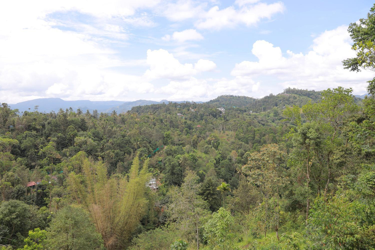 4, munnar ethan's valley, Idukki