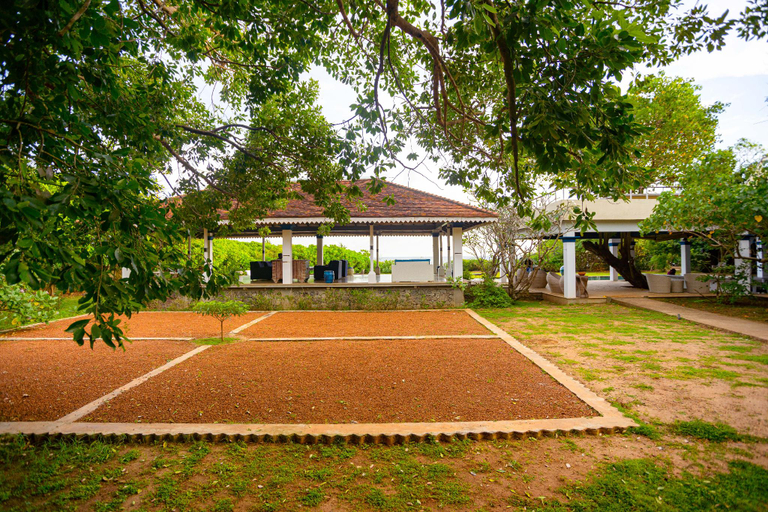Public Area 3, Ravana Garden, Ambalanthota