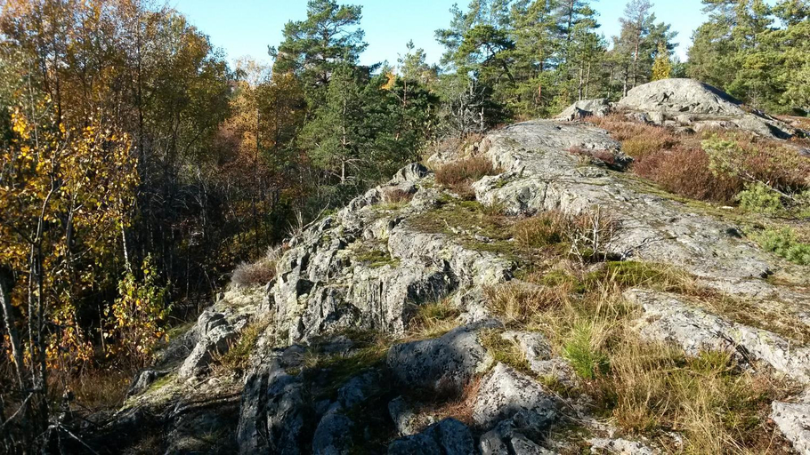 Others 2, Bed&Breakfast in nature 12 min from city free bikes, Stockholm