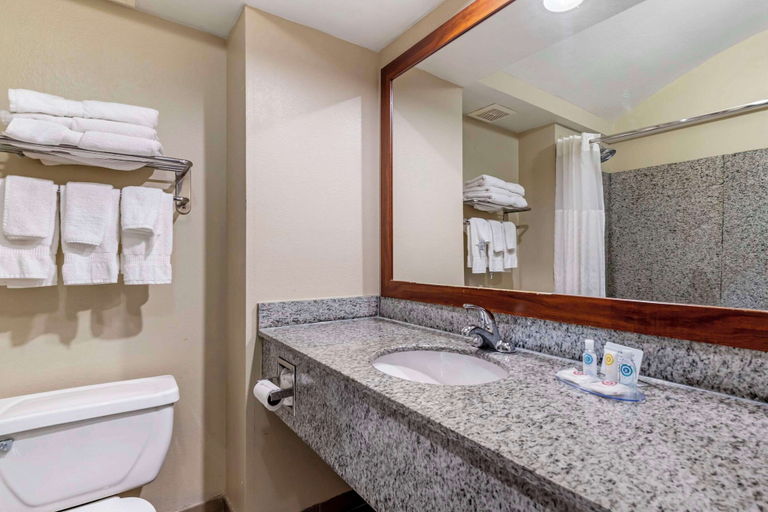 Bathroom 4, Comfort Inn & Suites Seguin, Guadalupe
