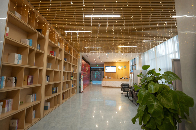 Public Area 3, Ark House, Ruessei Kaev