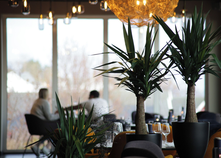 Food & Drinks 5, The Tide - Hotel, Moskenes
