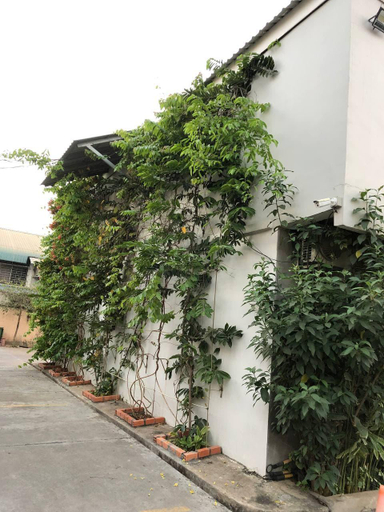 Exterior 7