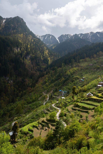 Others 5, Raila Home Stay, Kullu