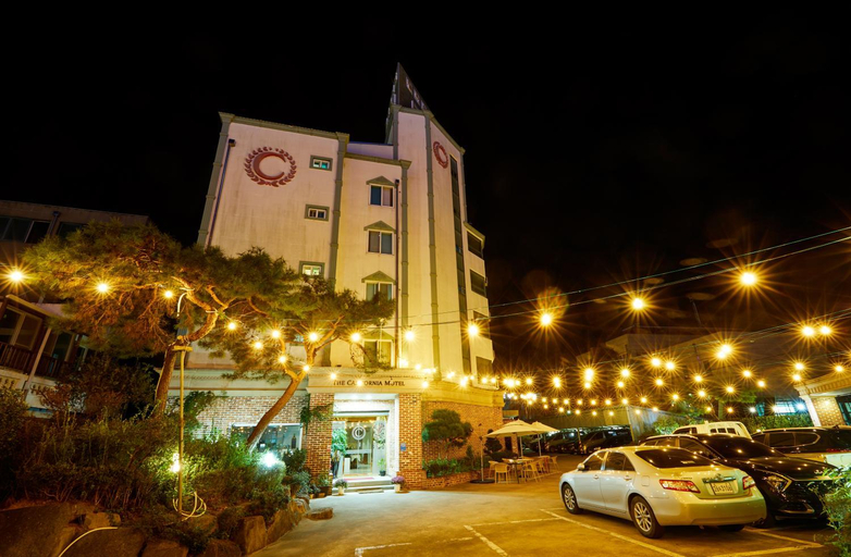 California Hotel, Buan