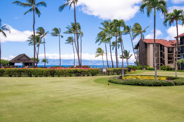 Others 4, Papakea F404, Maui