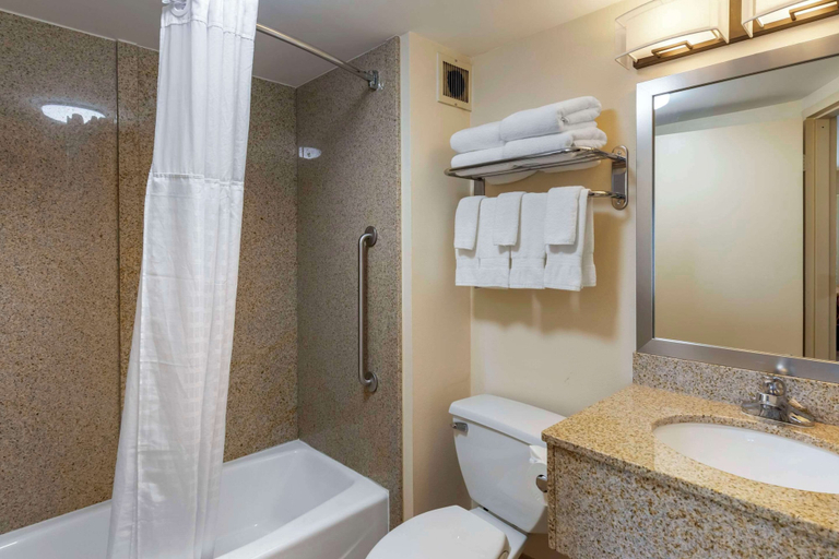 Bathroom 4, Comfort Inn Kennesaw, Cobb