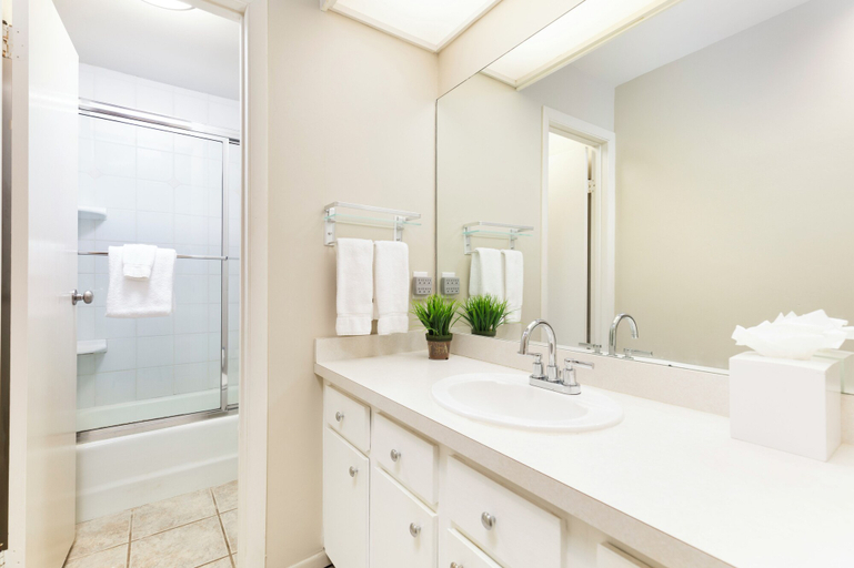Bathroom 3, Snowmass Mountain by Snowmass Vacations, Pitkin