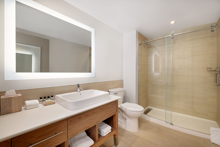 Bathroom 4, Element by Marriott New York Wood-Ridge, Bergen