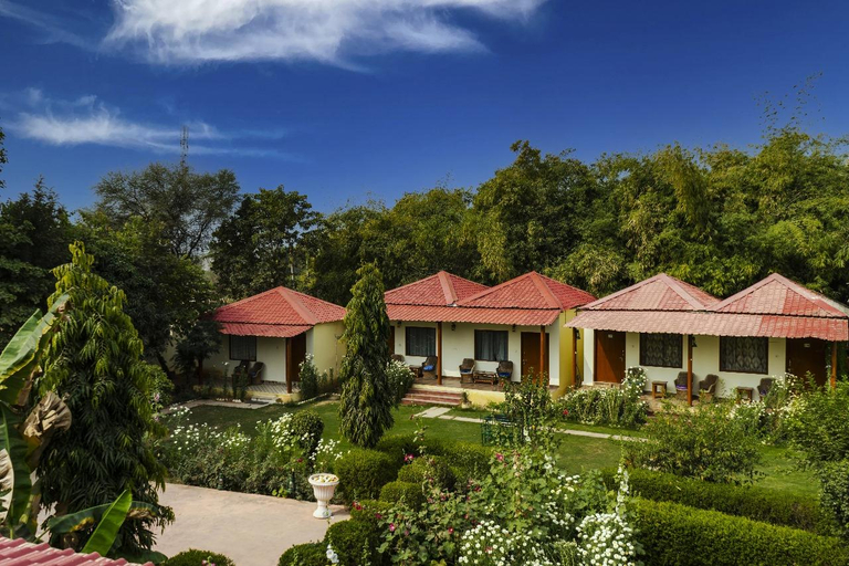 Others 5, Jungle Retreat Ranthambore, Sawai Madhopur