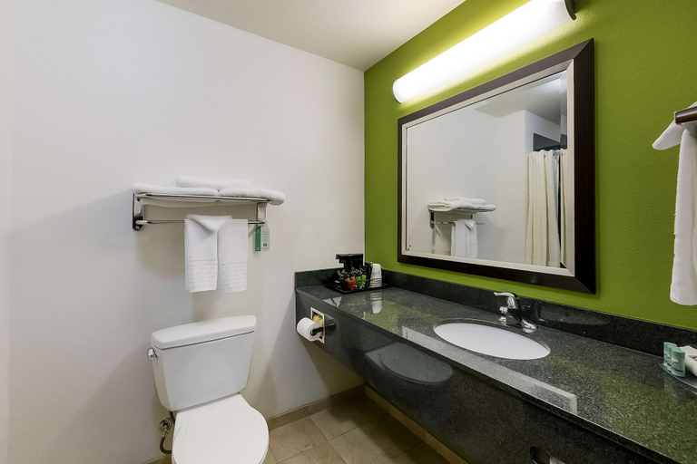 Bathroom 4, Best Western Douglas Inn & Suites, Cochise