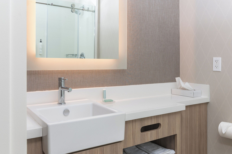 Bathroom 3, SpringHill Suites by Marriott Freeport Brunswick, Cumberland