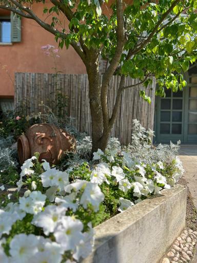 Others 4, Segnavento -Rooms and Suites-, Cuneo