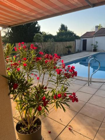 Others 3, Les voyages de Louison, Lot-et-Garonne