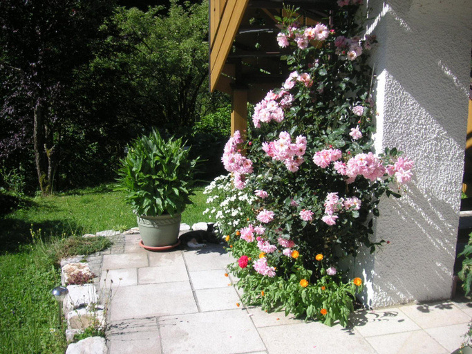 Others 4, Gerlindes Haus - inkl. Chiemgau-Karte, Traunstein