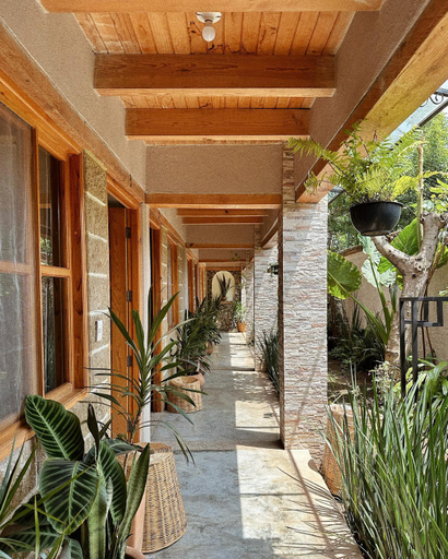 Others 5, Hotel Neutro, San Cristóbal de las Casas