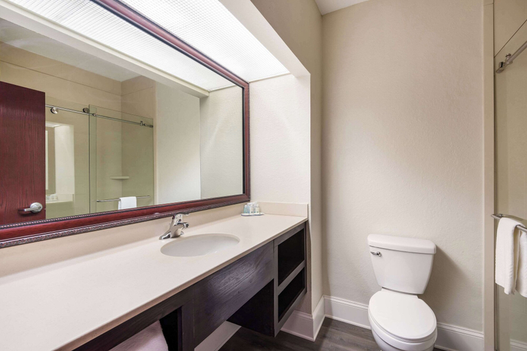 Bathroom 5, Quality Inn & Suites Quincy - Downtown, Adams