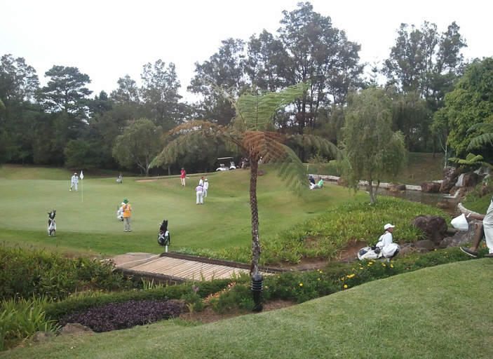 Others 5, Camp john hay forest lodge, Baguio City