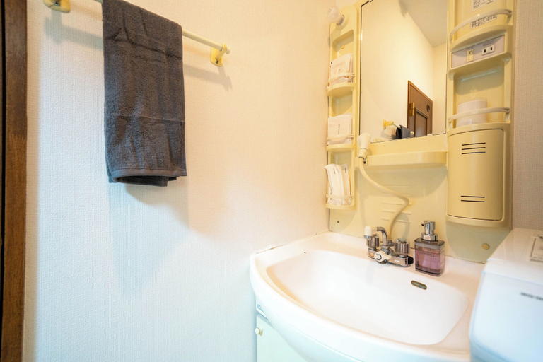 Bathroom 4, LABRADORITE, Sapporo