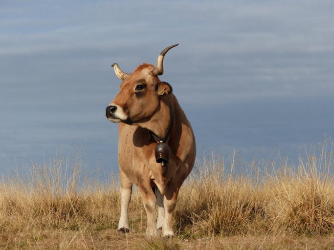 Others 5, La grange de Maurines, Cantal