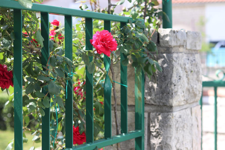 Others 2, Room with Terrace, Just 3 Mins from the Beach, Rovinj