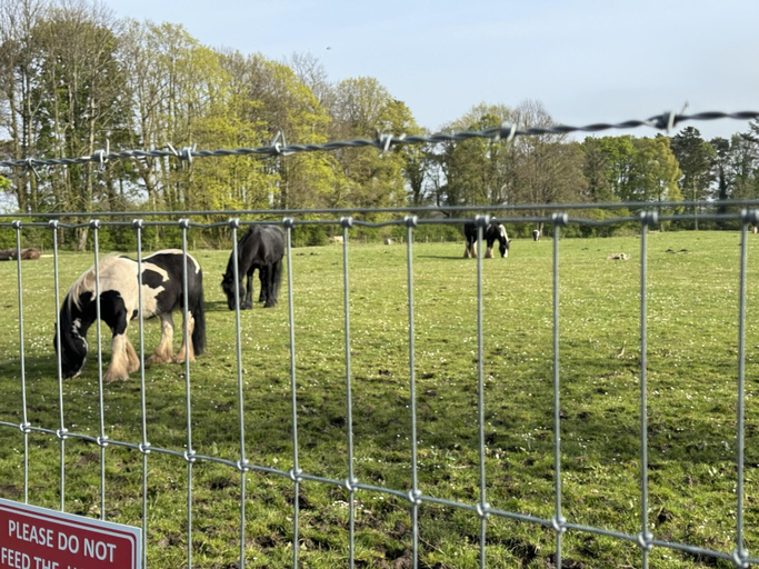 Property grounds, West Lawn 47 Haggerston Castle Paddock Views, Northumberland