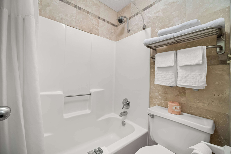 Bathroom 4, Best Western Braselton Inn, Jackson