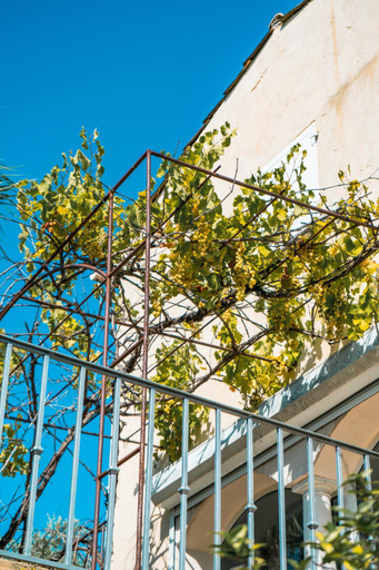 Exterior & Views 1, Le Mas des Amandiers, Alpes-Maritimes